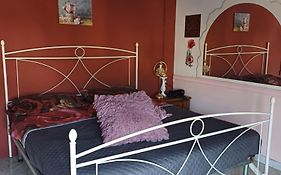 B&B Cleopatra
